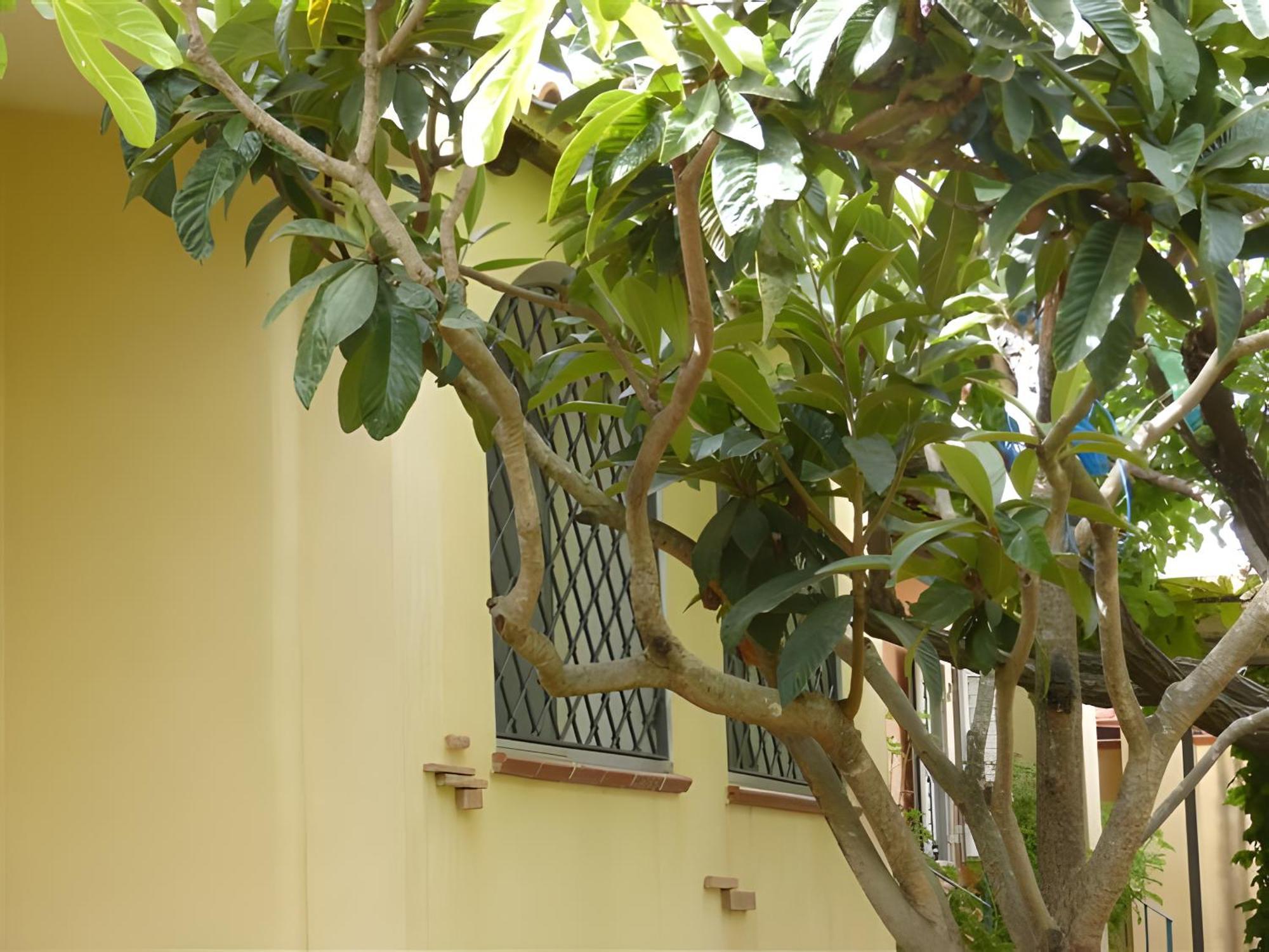 Casa Nespolo